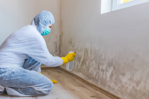 Mold Remediation specialist working in Gibbstown